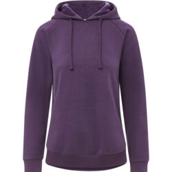 Women's Vintage Fleece Hooded Sweatshirt Thumbnail